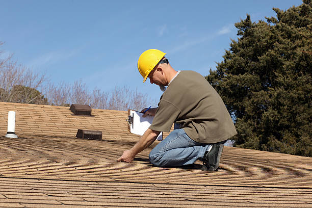 Best Roof Moss and Algae Removal  in Ardmore, TN